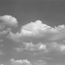 Nicholas Middleton - Cloud Study - Kodak No.2A Brownie