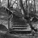 John Zimm - Stairway - Brownie Hawkeye