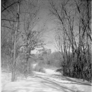 David Utterson - Winter Des Moines - Brownie Hawkeye