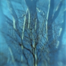 Jodi Benaroch - Untitled - Brownie Hawkeye Flash with flipped lens