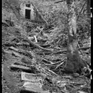 House of the Fairies, Great Smoky Mountains National Park