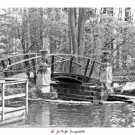 J. P. Goethals - Bridge - Brownie Kodak 110