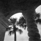 palms-and-arches-bcedf5d02d117dab54ca4662705a63df4ae54afb