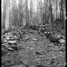 Stone walls line the trail near Noah "Bud" Ogle house, Great Smoky Mountains National Park